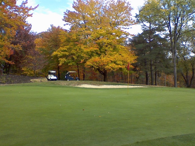 12green.jpg